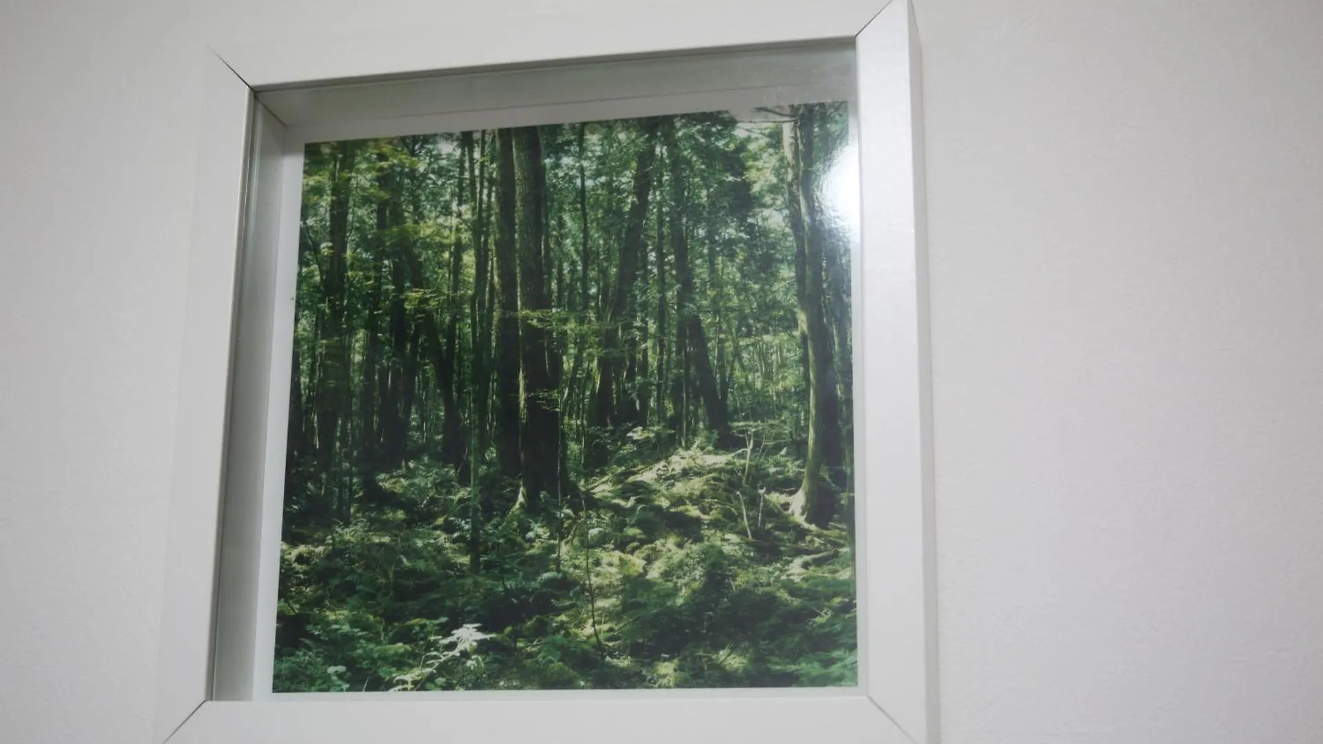 Guest house Hananosato Tabada 花乃郷民泊 Tokyo
